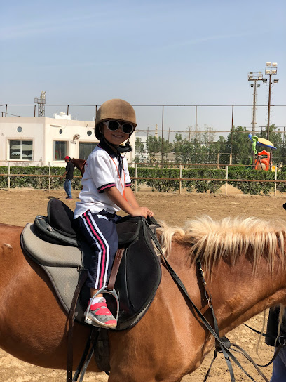 اسطبلات كندة | ربط كندة - Saudi Arabia|Jeddah 23742|Um Hableen|77 Umm Hablain