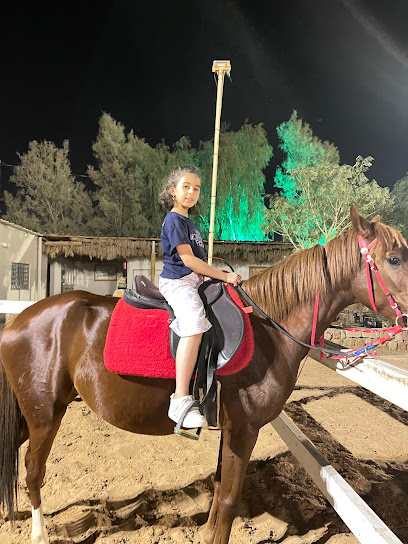 مربط المجد أصايل للخيل العربية الأصيلة - Saudi Arabia|52546|طريق الملك فهد(غرب) جوار المطار القصيم -بريدة- جوار|مصنع هنا للمياة العذبة