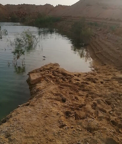 مسبح صحراوي - Desert Swimming Pool - رُغْبَة -