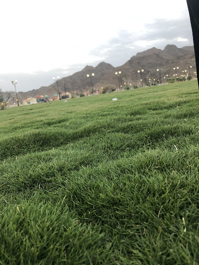 بقالة الوادي الاخضر - Saudi Arabia|Najran 66255|Alathaybah Ash Shamaliyyah Agricultural Subdivision