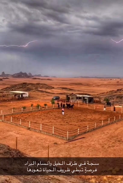 مربط الفوزان للخيول العربية الأصيلة - Saudi Arabia|55244،