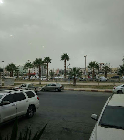 مستودع فيتونيت السعودي (سافيتو) - جدة - +966 50 782 1500
