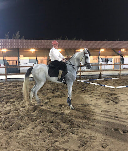 مربط عين جالوت للخيل العربية الاصيلة - جدة - +966 55 205 7187