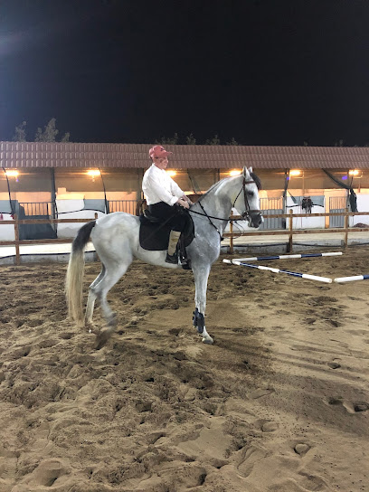 مربط عين جالوت للخيل العربية الاصيلة - Saudi Arabia|Jeddah 23748،|P7RJ+M22،