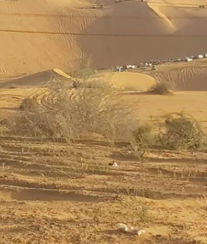 مرقى خمسين - أم القلبان -