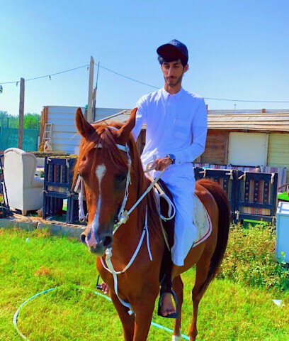 ربط الصهيل للخيول الأصيلة - صفوى - +966 58 077 9822