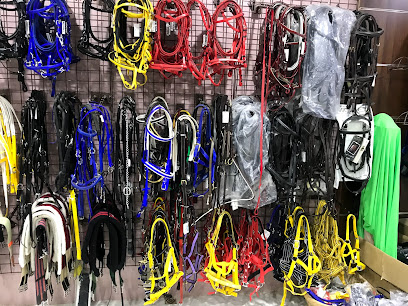 مركز الجزيرة الشامل لمستلزمات الخيل - جدة - +966 55 109 6402