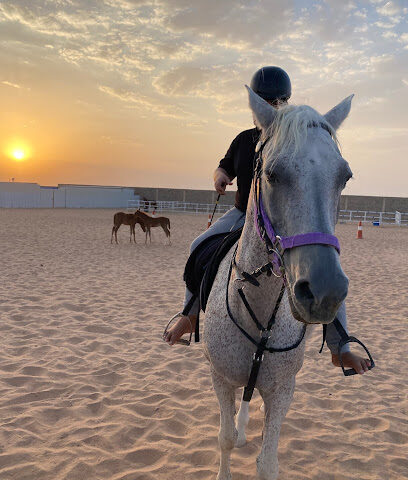 مربط الشهيب - الدوادمي - +966 59 100 0040