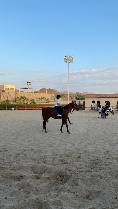 إسطبل حصان المدينة - Saudi Arabia|Jeddah 23747|طريق|Um Hableen