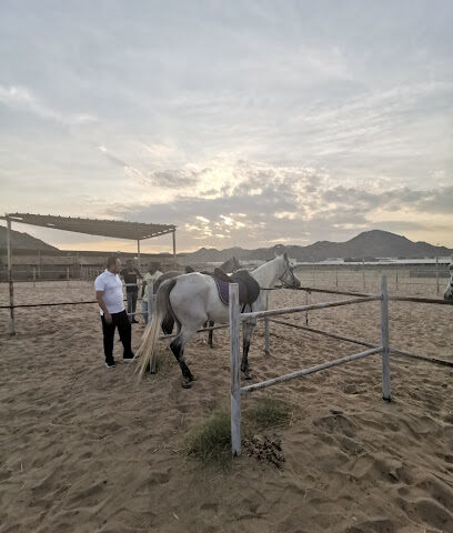 مربط النسيم للخيل العربية الأصيلة - مكة المكرمة - +966 57 057 4843