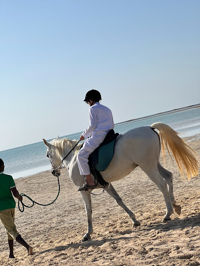 لاقونا لساعة الخيل Lagoona Horseback Riding - King Abdullah Economic City 23961