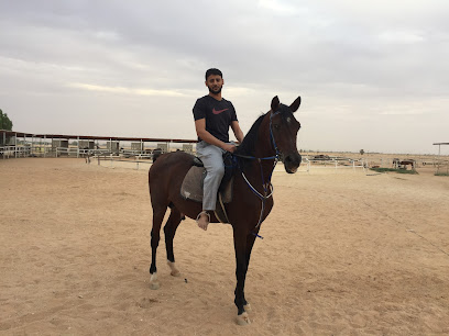 مربط الدلم -  - +966 55 345 8466