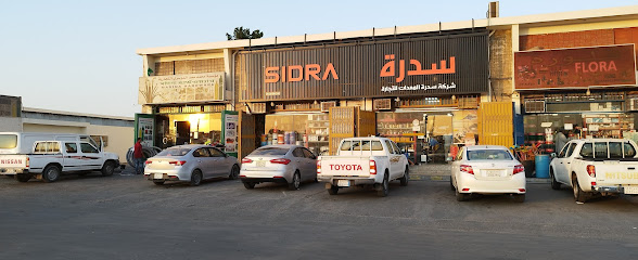 شركة سيدرا لتجارة المعدات - الدمام - +966 59 950 3599