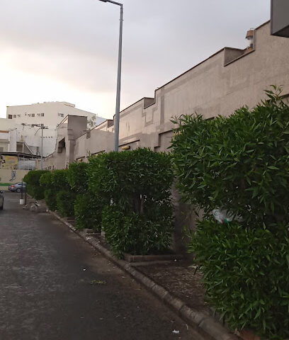 العبير الطبي - جدة -