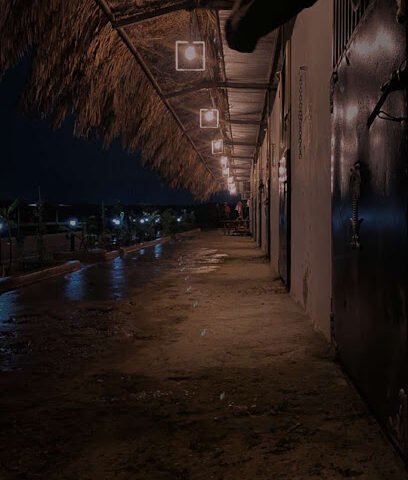 مربط قسورة تدريب ، ايواء ، تأجير - الرياض - +966 55 542 2659