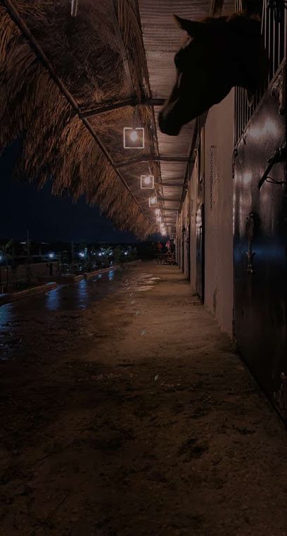 مربط قسورة تدريب ، ايواء ، تأجير - Saudi Arabia|7247، الشرق، الرياض 13635 3891،