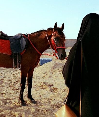 مستقر الغروب - جدة - +966 54 243 4128