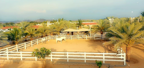 مربط الياسر العربي - مكة المكرمة - +966 59 300 4898