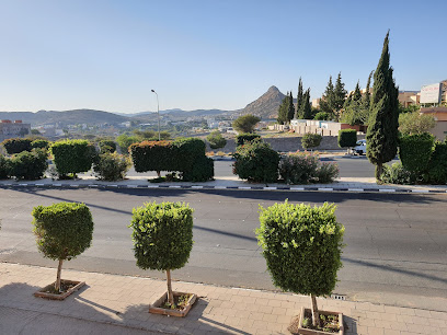 شقق فارس الهدا 1 - الهدا - +966 56 595 8333