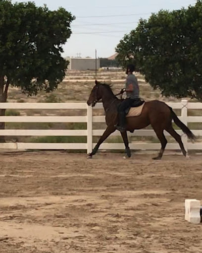 اسطبلات الخيل في الظهران - Dhahran 34473