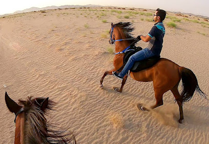 مربط أصول الحجاز للخيل العربية الأصيلة | أوه ستود - مكة المكرمة - +966 59 168 3337