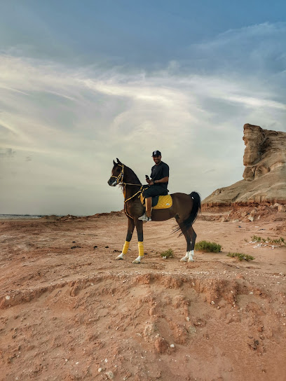 مركز تدريب الخيول العربية - Saudi Arabia|الطرف 36379|نادي الفروسيه