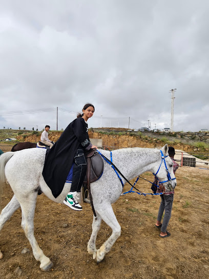 مربط خير النواصي للخيل العربية الأصيلة - Abha Saudi Arabia|جنوب مخطط|البديع|شارع الأربعين