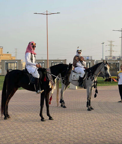مربط فواخر الجنوب للخيول العربيه الاصيله -  - +966 56 888 7332