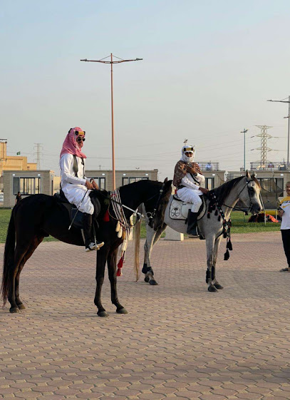 مربط فواخر الجنوب للخيول العربيه الاصيله - Saudi Arabia|Unnamed Road 86351،