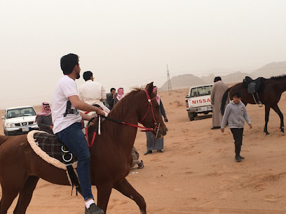 مربط البراهيم للخيل العربيه - الصبيحية - +966 54 071 2212