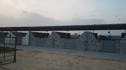 ربط قمّة الإصرار لتدريب الفروسية - صفوى - +966 59 676 9874