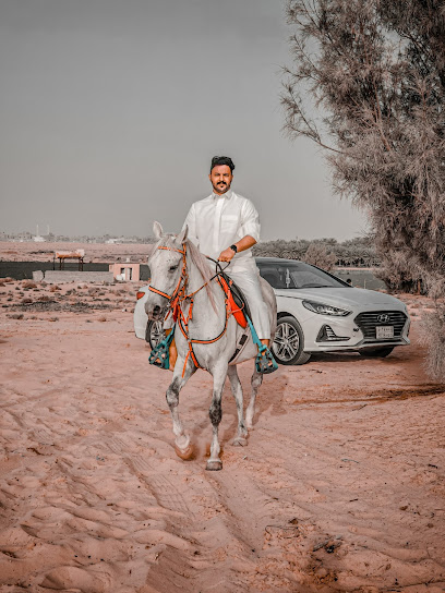 وتأجير خيول - Saudi Arabia|Al Bukayriyah 52734