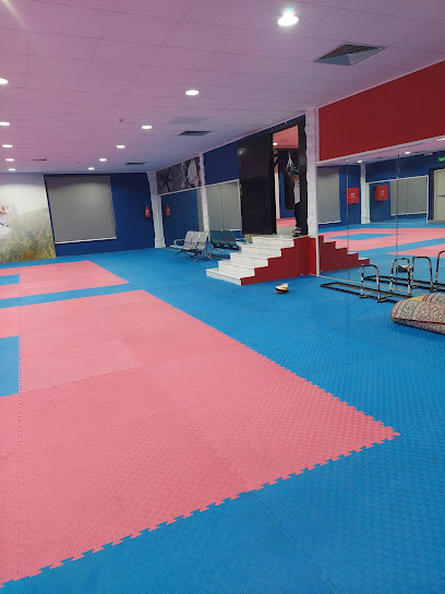منطقة البطل - Saudi Arabia|Abha 62521|ذرة 4780 4780
