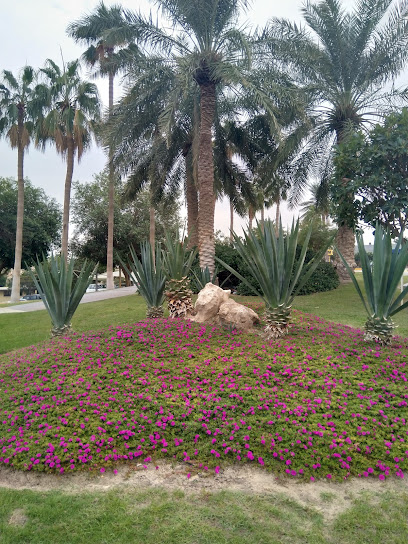 عيادة طبية مهنية - Saudi Arabia|Dhahran|Building 554 street