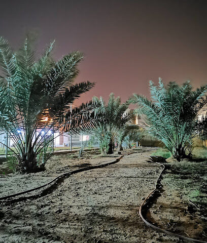 مشتل الرحمانية - الحزم - +966 53 391 2044