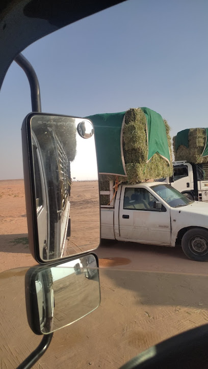 شركة سلامة للتأمين التعاوني شركة سلامة للتأمين التعاوني - Saudi Arabia|Al Duwadimi|As Sinayyiah|King Khalid Road