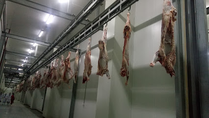 مشروع الاضاحي المجزره رقم (4) الجمال والابقار - مكة المكرمة - +966 50 700 4158