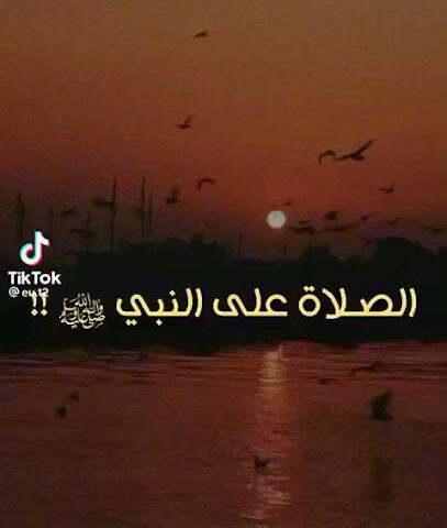 شركة الطوب الأحمر السعودي فرع السنابل - جدة - +966 12 289 5074