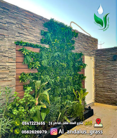عشب الاندلس الدمام - الدمام - +966 56 262 6979