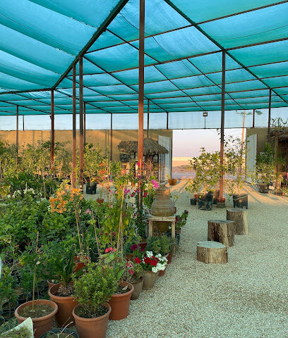 مشتل أزهار السدر -  - +966 50 999 4300