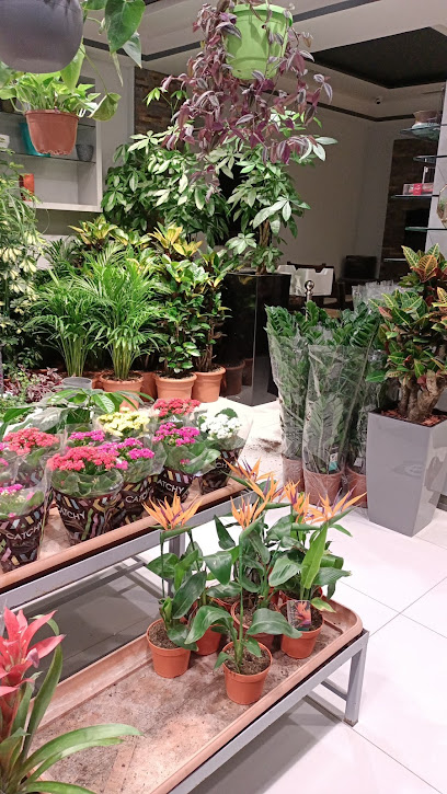 شركة روزماري للمقاولات - Saudi Arabia|Riyadh 12443|8528|Uthman Ibn Affan Rd