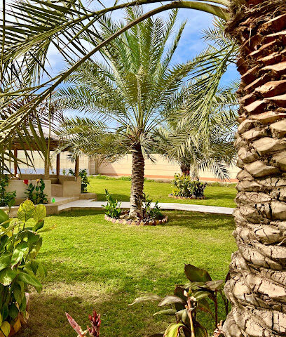 شركة نخلة شركة نخلة الزراعية - الدمام - +966 55 294 7366
