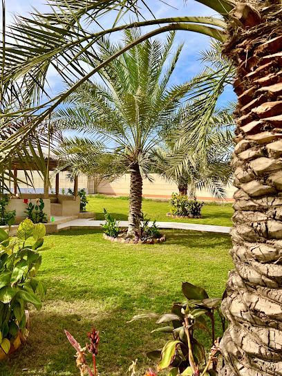 شركة نخلة شركة نخلة الزراعية - Saudi Arabia|Dammam 32433|Al Muhammadiyah|9093 Khaleej Rd