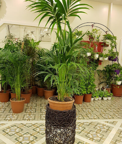 شركة النبطات للمقاولات - الدمام - +966 13 330 7500