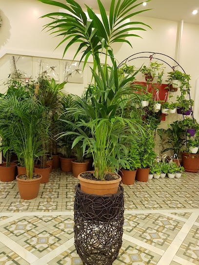 شركة النبطات للمقاولات - Saudi Arabia|Dammam 34251|Al Firdaws|Prince Mohammed Bin Fahd Branch Rd