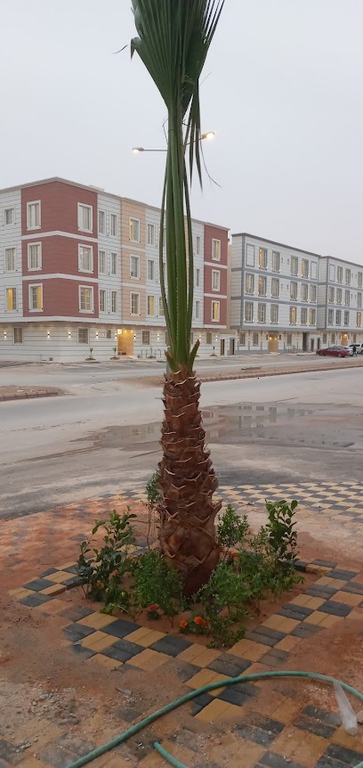 مشتل الأمل لتنسيق الحدائق - Saudi Arabia|Riyadh 12675|Al Yamamah|Al Farian