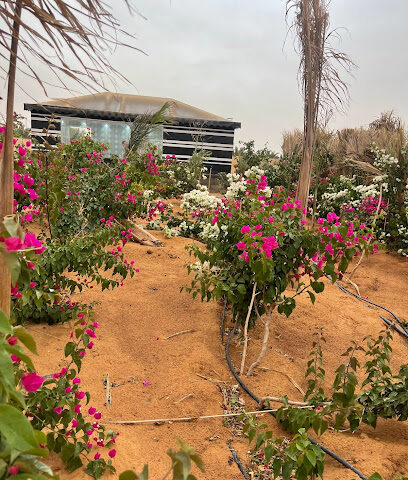 مشتل بستان اوثال -  - +966 55 517 9666